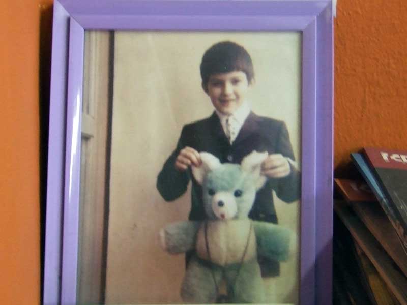 cesare-gualdoni-orso-verde