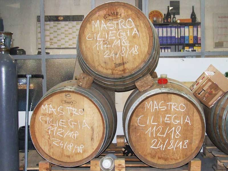 botti-piccolo-birrificio-clandestino