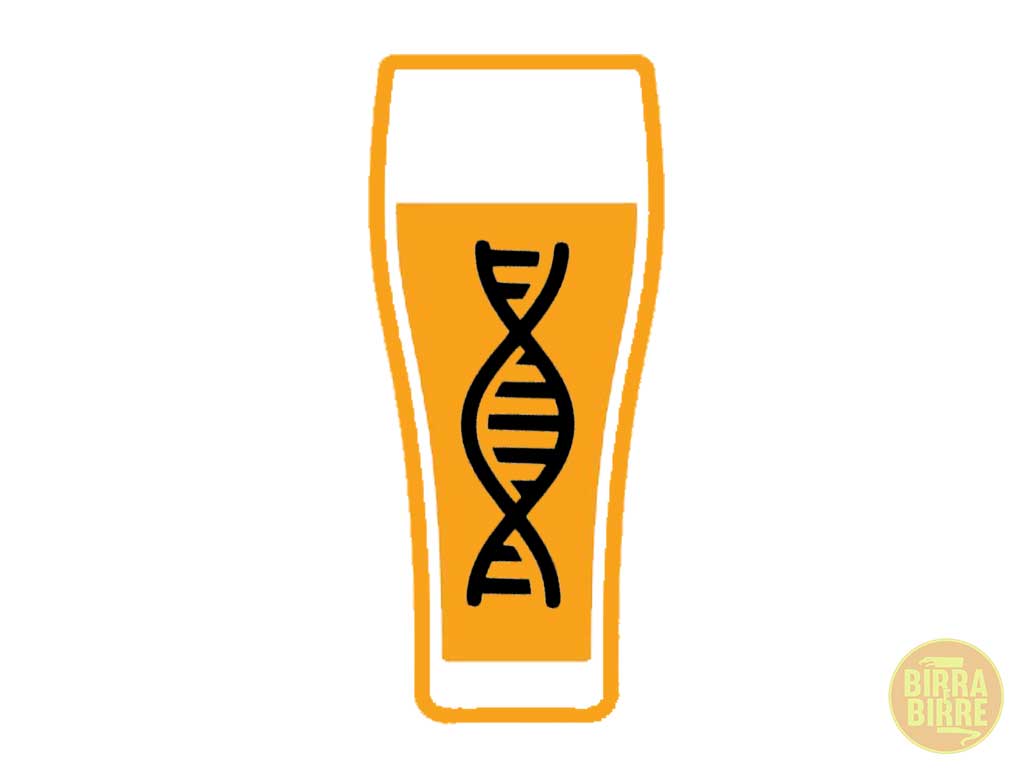birra-e-dna