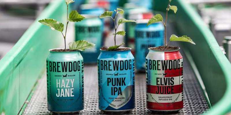 equity-for-punks