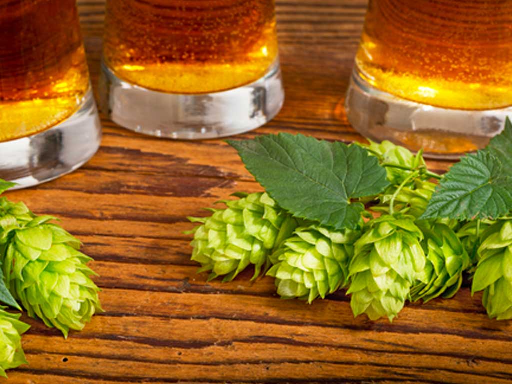 BIRRA-E-LUPPOLO