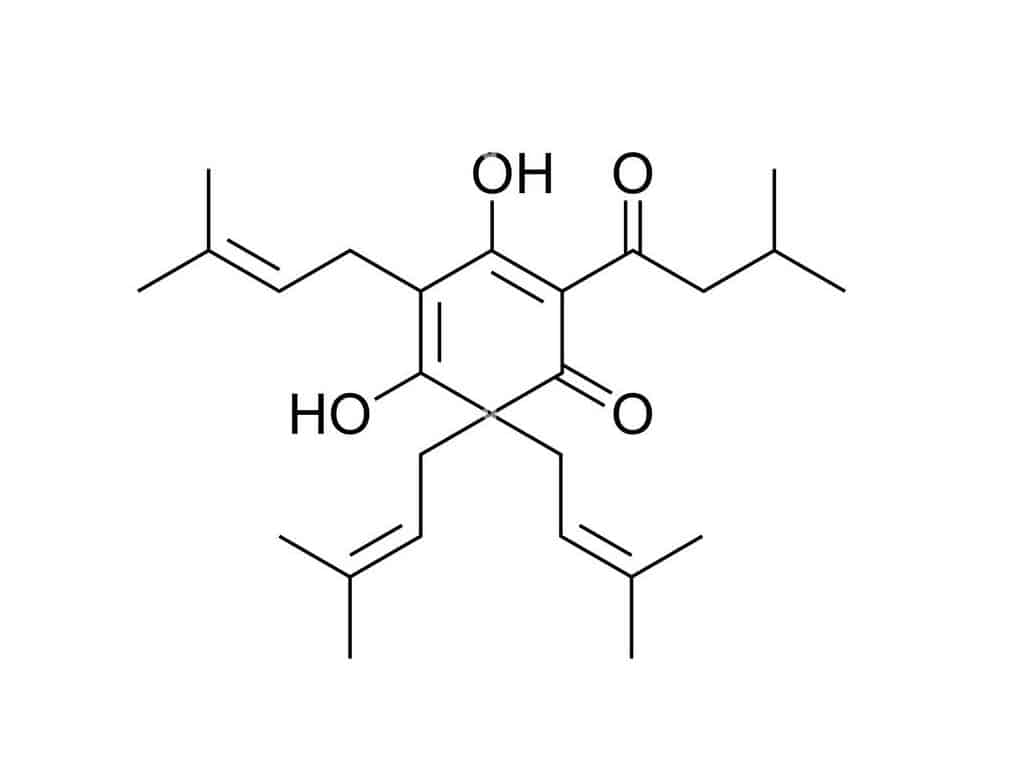 LUPULONE-LUPPOLO-IBU