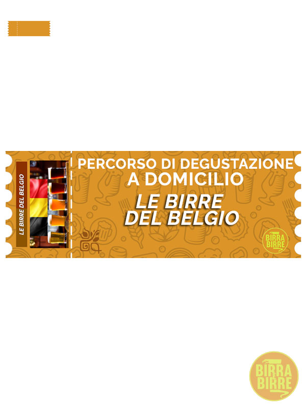 DEGUSTAZIONE-DOMICILIO-LE-BIRRE-DEL-BELGIO