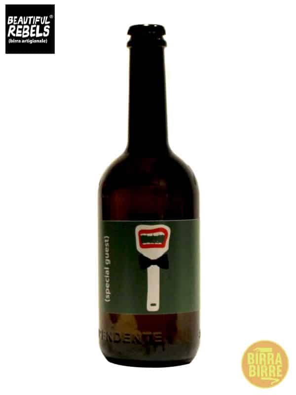 SPECIAL-GUEST-BEAUTIFUL-REBELS